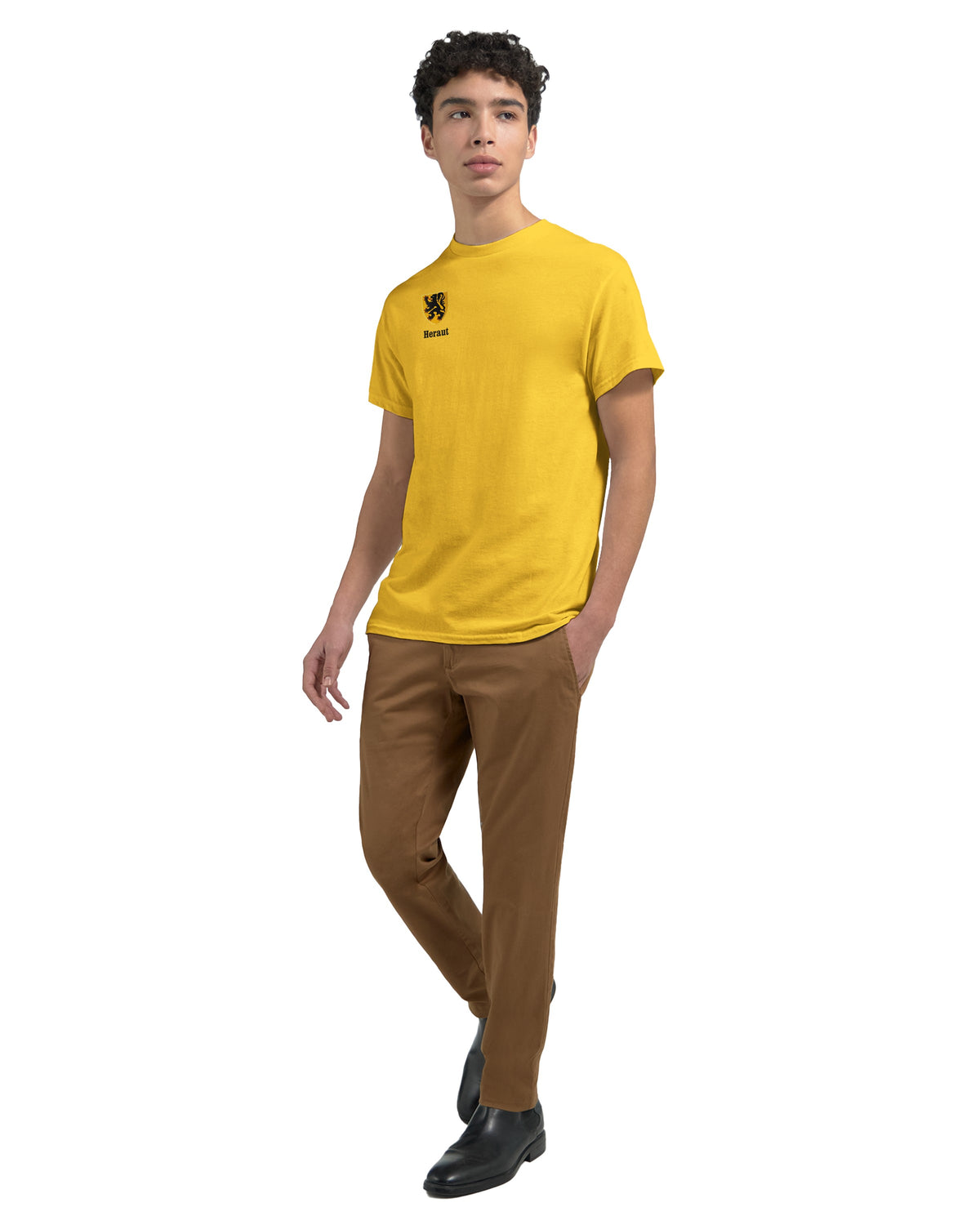 Camiseta Heraut Flandes, León de Oro