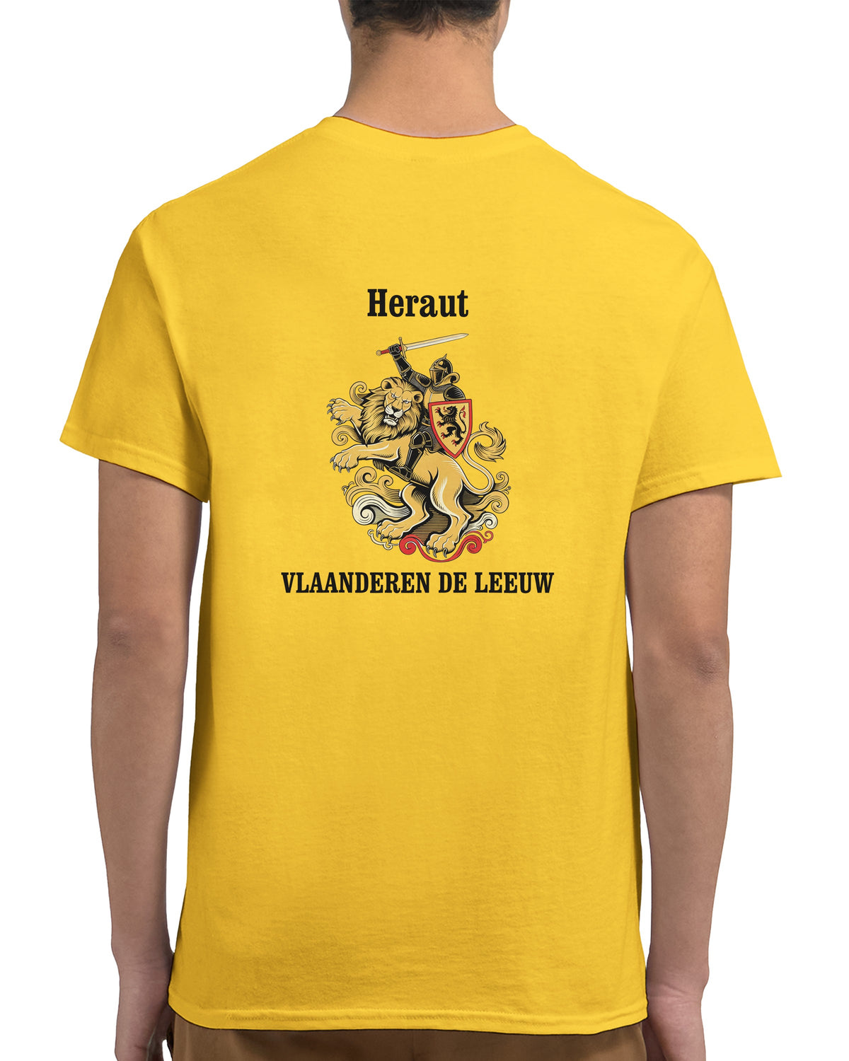 Camiseta Heraut Flandes, León de Oro